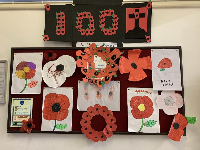 Display of 2nd Hawkwell Beaver’s Poppies from Remembrance Day