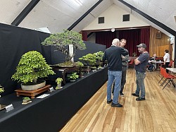 Bonsai Show