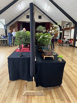 Bonsai Display