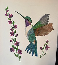 Hummingbird